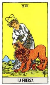 card-15