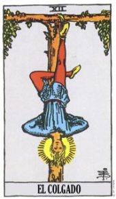 card-5